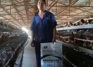 原保軍在河南安陽為益農(nóng)蛋雞預(yù)混料代言！